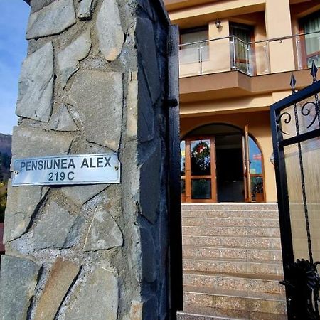 קאיה Pensiunea Alex מראה חיצוני תמונה