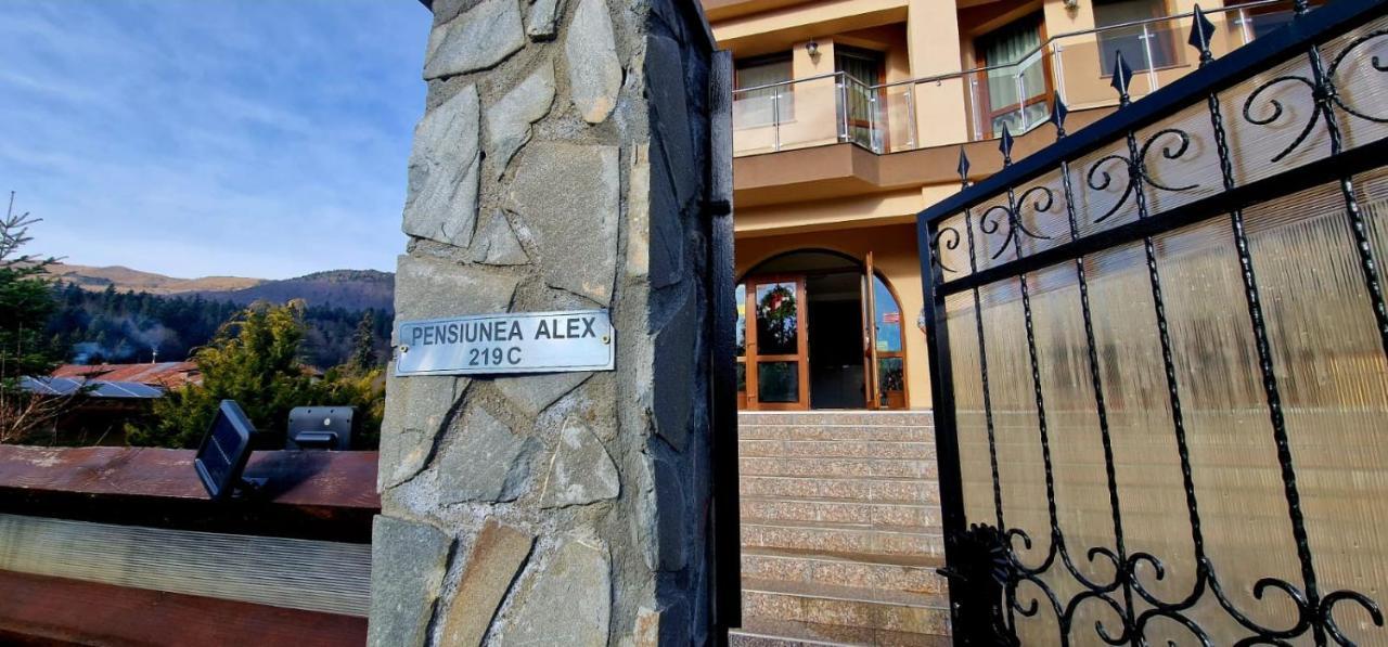 קאיה Pensiunea Alex מראה חיצוני תמונה